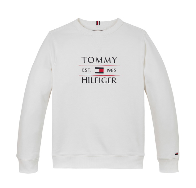 Tommy Hilfiger boys tommy flag hilfiger sweatshirt in de kleur white wit