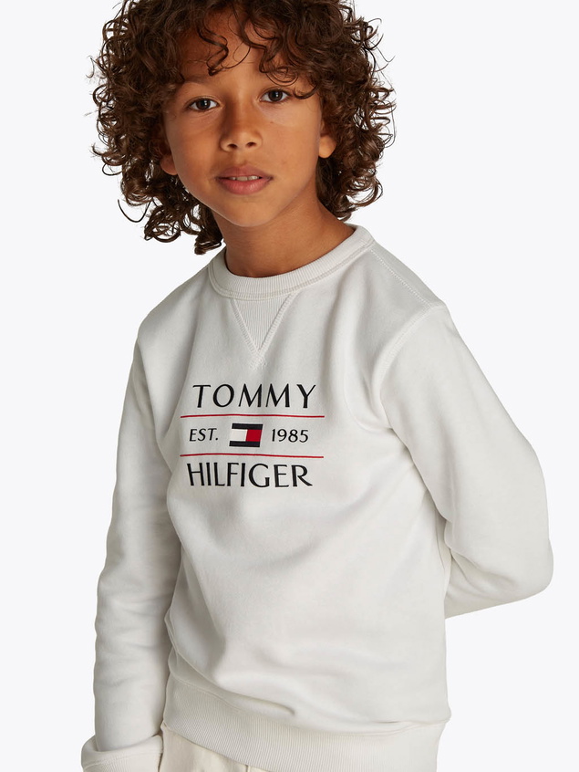 Tommy Hilfiger boys tommy flag hilfiger sweatshirt in de kleur white wit